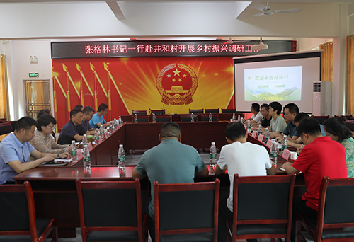 开云手机在线党委书记张格林到乡村振兴对口联系点茶陵井和村调研