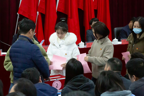 补充新力量 聚力开新局---开云手机在线召开党员大会补选党委委员