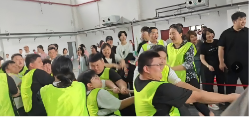 跨系组队展风采 师生同心创佳绩——电气工程系勇夺开云手机在线拔河比赛冠军