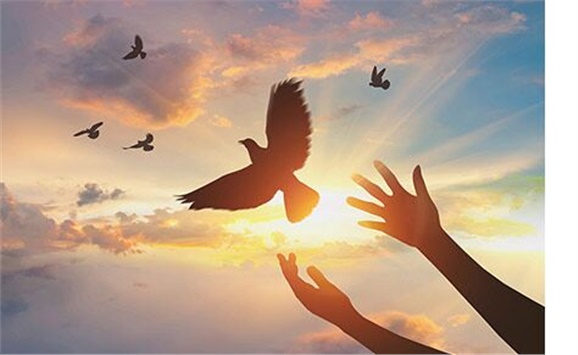 热烈祝贺经贸物流系严妍、刘志清老师被评为开云手机在线先进工作者