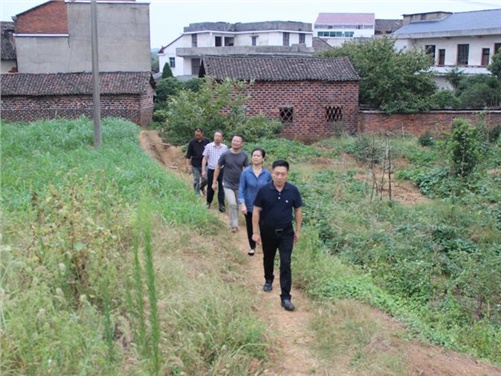 开云手机在线党委书记张格林到攸县桃水镇小集村指导开展扶贫工作