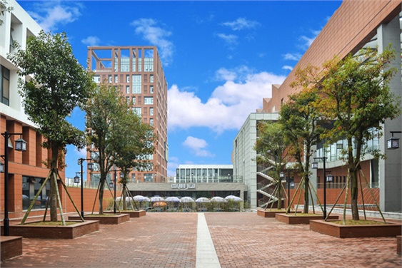 开云手机在线学生宿舍三栋化粪池维修工程采购项目中标公告