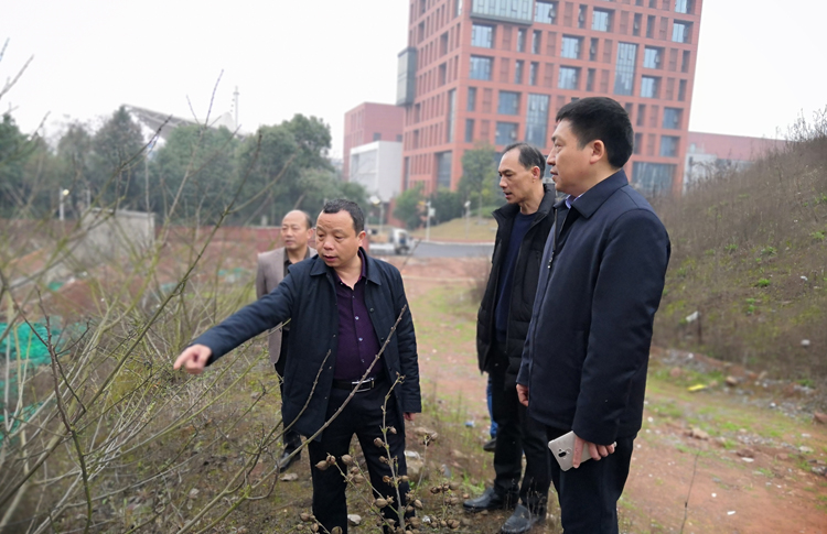 开云手机在线开展校园安全大检查活动